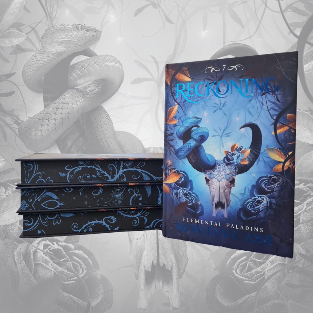 *PREORDER/PREPAY*  Book Six - Book Ten :  The Elemental Paladins Hardback Box Set