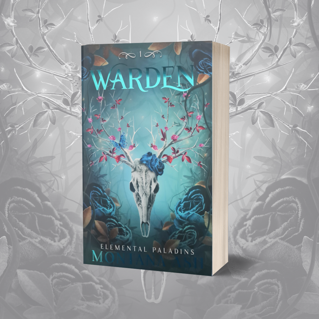 The Elemental Paladins Foil Paperback Box Set